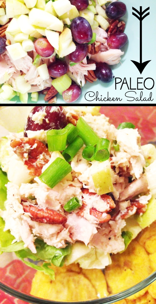 5.23.14 paleo chicken salad